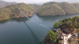 네이버로 한눈에 진천 농다리·미르309 출렁다리 운영 상황 실시간 확인
