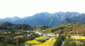 충북-경북 경계 보은 임곡리,  빛생 신당화에 수년째 갈등