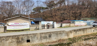 충북-경북 경계 보은 임곡리,  빛생 신당화에 수년째 갈등