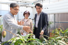 보은 애플망고 농가 1호, 스마트팜으로 기후이상 파고 넘는다