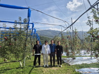 [청년농부가간다] 농업의 세대교체 사과농장 지킴이들
