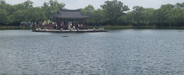 천만송이 연꽃 만개 부여 궁남지서 여름 낭만 만끽