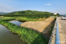 교량 아래 토사채취 허가한 보은군… 안전불감증 지적