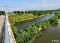 교량 아래 토사채취 허가한 보은군… 안전불감증 지적