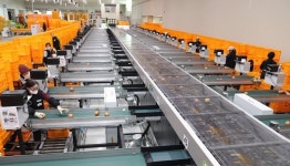 보은 과수거점산지유통센터(APC), 전국평가서 5위