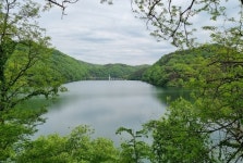 [아침뜨락] 농다리 초롱길 산책