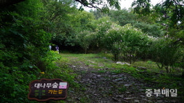 국립 오서산자연휴양림 숲해설가와 함께하는 숲길 이야기