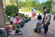 노인·아이들 함께 기른 국화로 아파트 물들여요