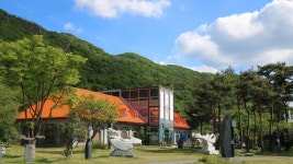 반려의 감각, 지역을 잇다… 보령 모산조형미술관–더리미미술관 교류전 개최