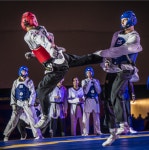 [스포츠인문학] 몸의 균형을 지배하는 힘, 전정감각