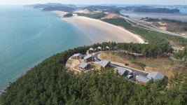 숲길 걷고 바다 보며 치유… 보령 자연휴양림의 3색 매력