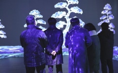 보은 솔향공원 소나무미디어숲 개관… 설 연휴 정상 운영