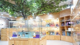 강남 고양이분양 전문 ‘블리스캣’, 사회화 교육을 하는 자체출산 시스템 갖춰.