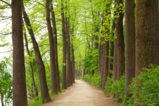 [국내 여름휴가지] 가평, 가볼만한곳은?…‘남이섬·용추계곡’ 수도권과 인접해 지하철로도 이동