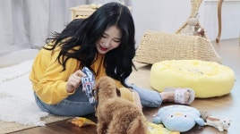 반려동물 펫시터 서비스 기업  “펫트너” 2018 서울펫쇼 참가