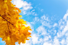 [2018년 10월축제] 핑크뮬리 가을여행 추천할만한 ‘하늘공원억새축제’ 등…10월 여행지 추천