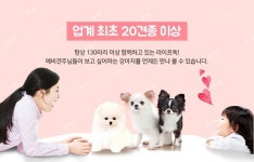 24시간 매장운영시스템과 다양한 견종 보유, 애견인들의 사랑을 받고 있는 김포애견샵 ‘라이프독 김포점’