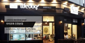 인천애견분양 라이프독 인천 본점, 입양부터 사후관리까지 체계적인 분양시스템