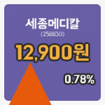 [세종메디칼주가] 25일 이시각 현재  12,900원