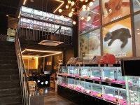 전국적 강아지 분양 프랜차이즈 업체 컴투펫 김포점 신규 오픈