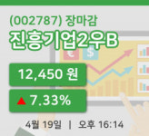 국내주식마감진흥기업2우B 19일 12,450원 장마감주식차트종합복습