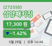 [삼양패키징주가] 29일 이시각 현재  17,300원