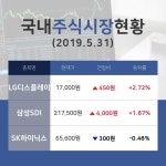 [국내증시전망] IT대표주 테마주 LG디스플레이  09시 현재 17,000원 기록중 