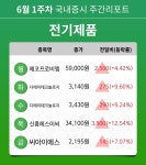 [주간 증시] 6월 1주차 전기제품 업종 주간 증시 : 에코프로비엠, 디에이테크놀로지, 신흥에스이씨, 씨아이에스 등 강세