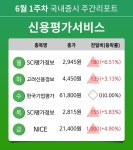 [주간 증시] 6월 1주차 신용평가서비스 업종 주간 증시 : SCI평가정보, 고려신용정보, 한국기업평가, NICE 등 강세