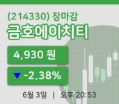 코스피정리금호에이치티 3일 4,930원 장종료  