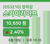 국내주식마감스카이라이프 18일 10,650원 장종료...  