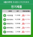 [주간 증시] 6월 5주차 전기제품 업종 주간 증시 : 비츠로셀, 명성티엔에스, 파워로직스, 씨아이에스 등 강세