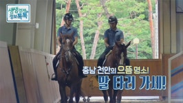 천안 승마장으로 말 타러 가세! 정철희 국제승마센터