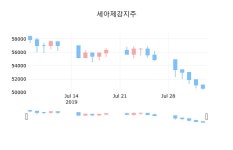 세아제강지주장종주가 49,100원