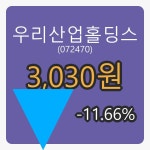 6일 우리산업홀딩스장종주가 3,030원 -11.66프로 변동..