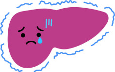 다양한 원인으로 나타나는 지방간 증상…좋은 음식은?