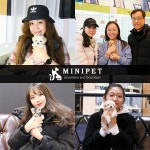 정직한 강아지, 고양이분양 선도하는 애견샵 ㈜미니펫, 소비자에게 정확한 정보 제공