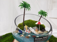 테라리움지도사 자격증, 2020년 떠오르는 창업 자격증으로 눈길