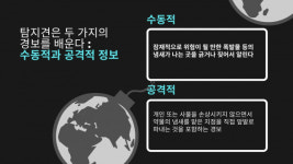 의료 탐지견, 신종 코로나 바이러스 탐지 훈련받는다