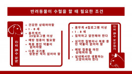 반려견·반려묘, ‘사랑의 헌혈’하려면?
