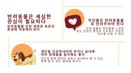 ‘집콕’ 기간, 반려동물도 체중 관리해야…식이조절 필수