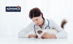 ㈜어피니티펫케어코리아, 어드밴스 2021년 로드맵 발표