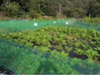 대전 동구, 주말농장 선착순 분양