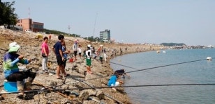 고등어·우럭 등 입질에 서산 삼길포항 강태공 북적