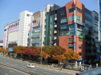 [11월 3일] 대전 서구 둔산동 1086 둔산플러스 8층 물건