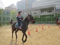 운동 활성화했더니 교실에 활기가… 세종 한솔고