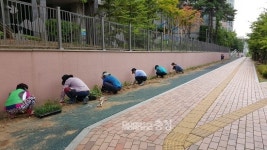 아파트 이면도로가 녹색공간으로 변신