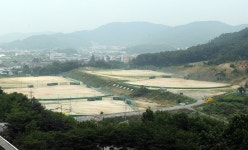 천안시, 610억원 들여 학교 운동장만도 못한 야구장 건립