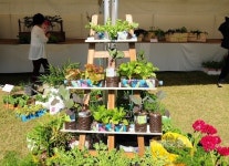 세종시, 재활용품 활용 텃밭 만들기 경진대회