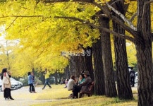 [포토뉴스]짧은 가을이 아쉬워 아름답다